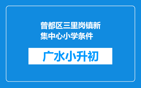 曾都区三里岗镇新集中心小学条件