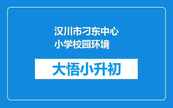 汉川市刁东中心小学校园环境