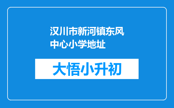 汉川市新河镇东风中心小学地址