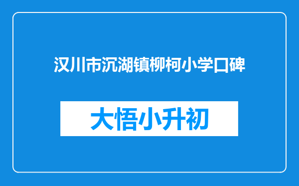 汉川市沉湖镇柳柯小学口碑