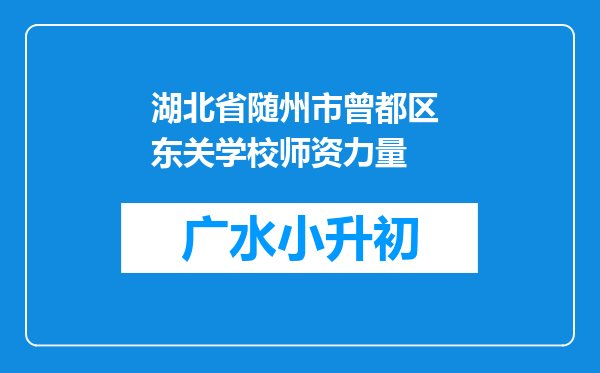 湖北省随州市曾都区 东关学校师资力量