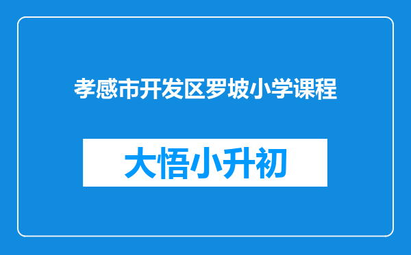 孝感市开发区罗坡小学课程