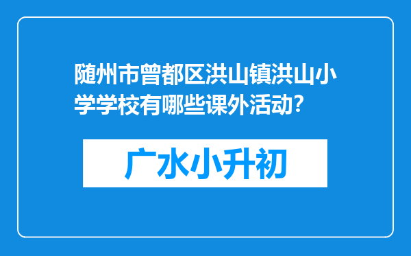 随州市曾都区洪山镇洪山小学学校有哪些课外活动？