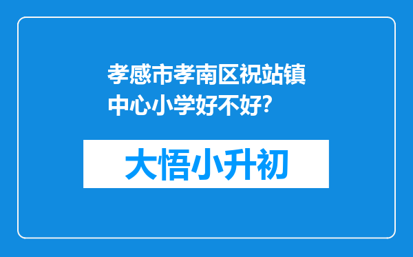 孝感市孝南区祝站镇中心小学好不好？