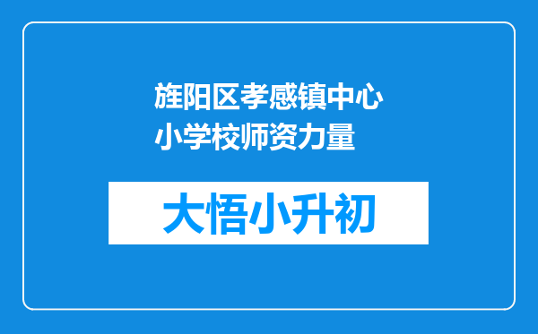 旌阳区孝感镇中心小学校师资力量