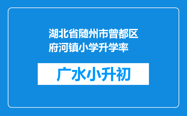 湖北省随州市曾都区府河镇小学升学率