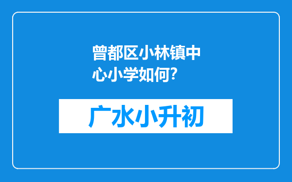 曾都区小林镇中心小学如何？