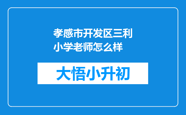 孝感市开发区三利小学老师怎么样