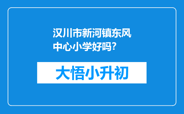 汉川市新河镇东风中心小学好吗？