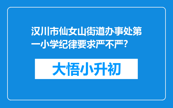 汉川市仙女山街道办事处第一小学纪律要求严不严？