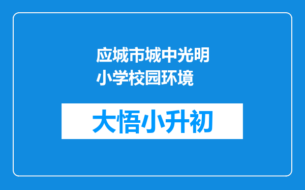 应城市城中光明小学校园环境