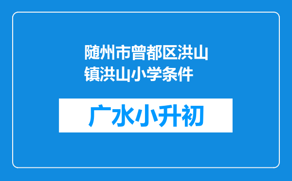 随州市曾都区洪山镇洪山小学条件