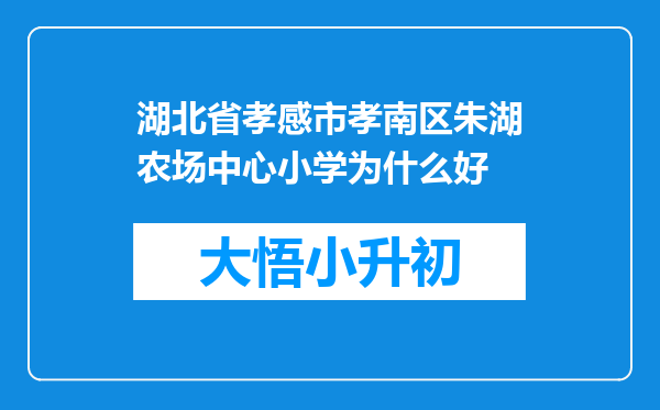 湖北省孝感市孝南区朱湖农场中心小学为什么好