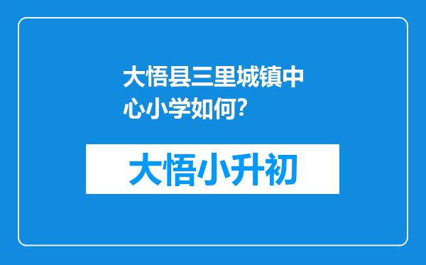 大悟县三里城镇中心小学如何？