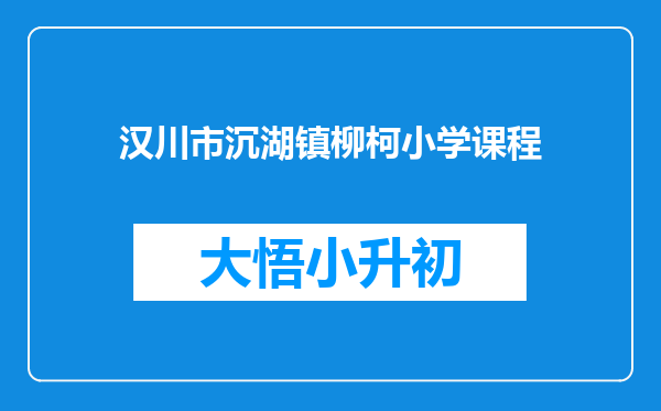 汉川市沉湖镇柳柯小学课程