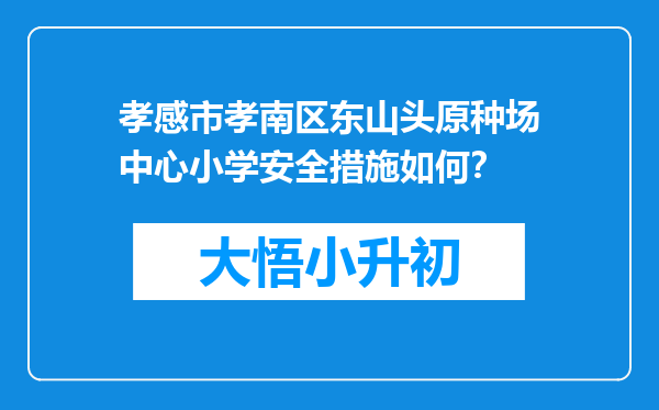 孝感市孝南区东山头原种场中心小学安全措施如何？