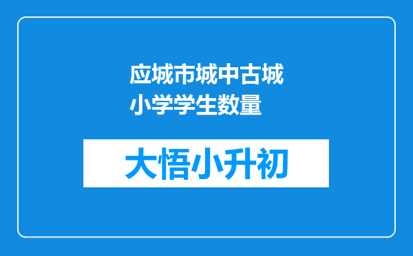 应城市城中古城小学学生数量