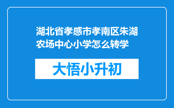 湖北省孝感市孝南区朱湖农场中心小学怎么转学