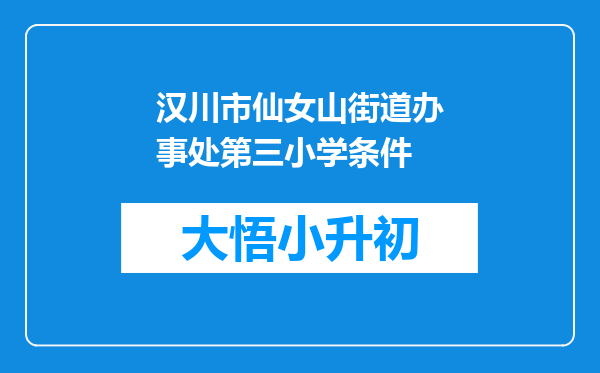 汉川市仙女山街道办事处第三小学条件