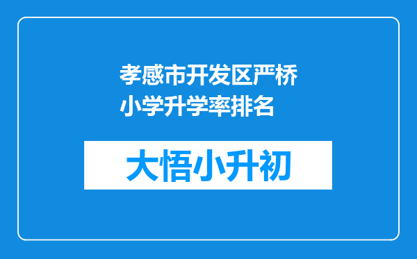 孝感市开发区严桥小学升学率排名