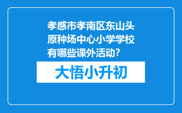 孝感市孝南区东山头原种场中心小学学校有哪些课外活动？