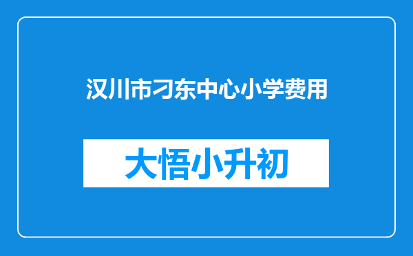 汉川市刁东中心小学费用