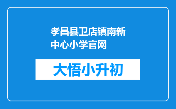 孝昌县卫店镇南新中心小学官网