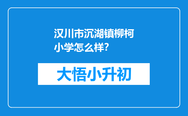 汉川市沉湖镇柳柯小学怎么样？