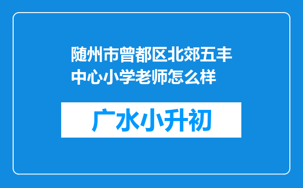 随州市曾都区北郊五丰中心小学老师怎么样