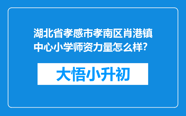 湖北省孝感市孝南区肖港镇中心小学师资力量怎么样？