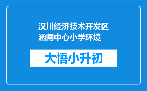 汉川经济技术开发区涵闸中心小学环境