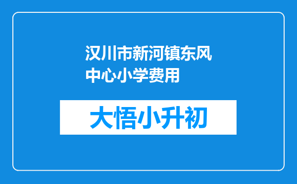 汉川市新河镇东风中心小学费用