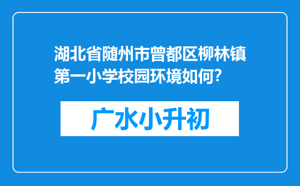 湖北省随州市曾都区柳林镇第一小学校园环境如何？