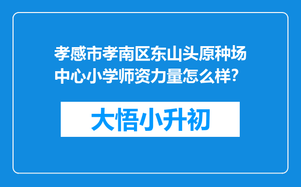 孝感市孝南区东山头原种场中心小学师资力量怎么样？