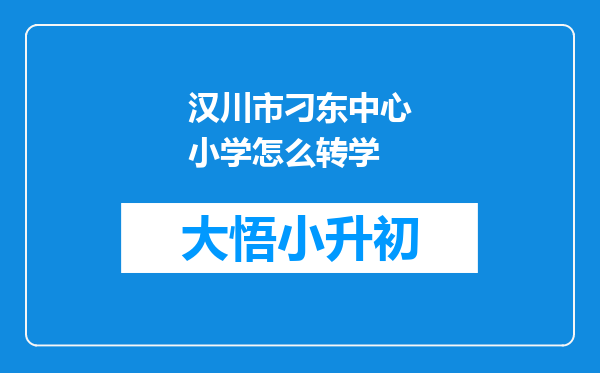 汉川市刁东中心小学怎么转学