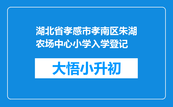 湖北省孝感市孝南区朱湖农场中心小学入学登记