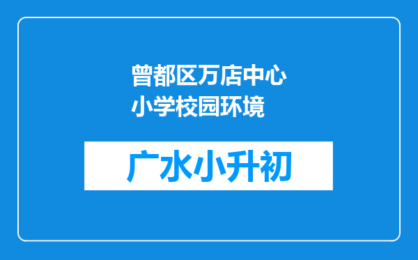 曾都区万店中心小学校园环境