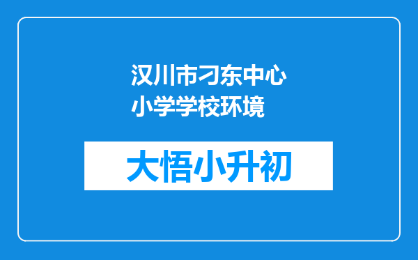 汉川市刁东中心小学学校环境