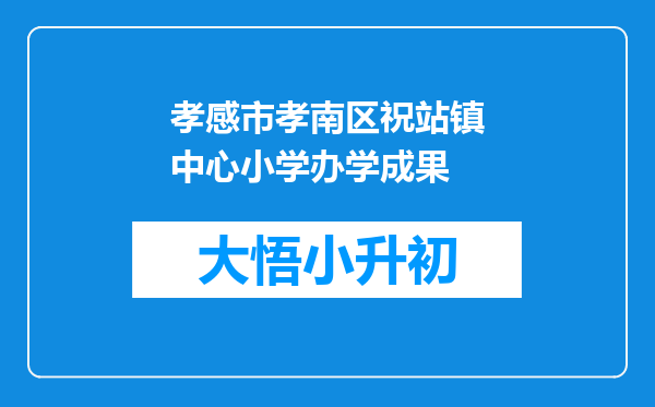 孝感市孝南区祝站镇中心小学办学成果