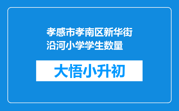 孝感市孝南区新华街沿河小学学生数量