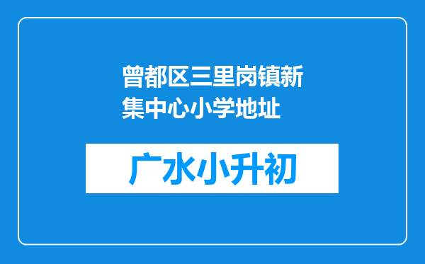 曾都区三里岗镇新集中心小学地址