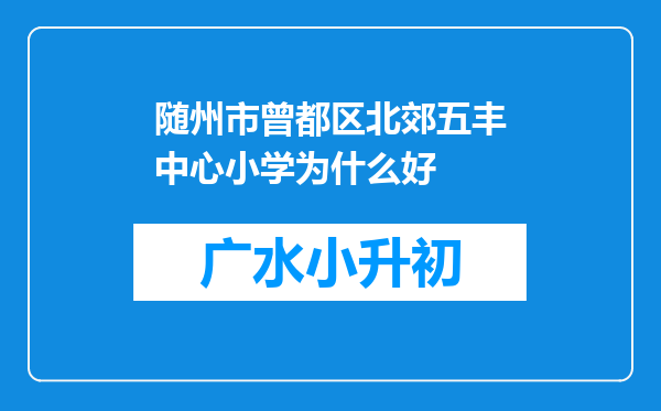 随州市曾都区北郊五丰中心小学为什么好