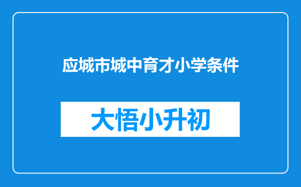 应城市城中育才小学条件