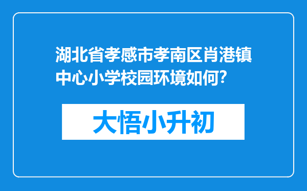 湖北省孝感市孝南区肖港镇中心小学校园环境如何？