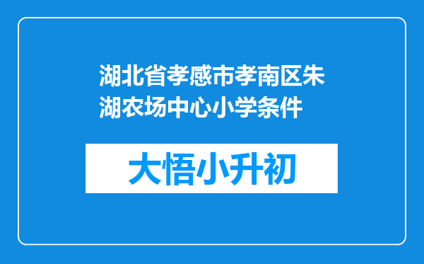 湖北省孝感市孝南区朱湖农场中心小学条件