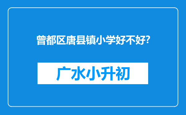 曾都区唐县镇小学好不好？