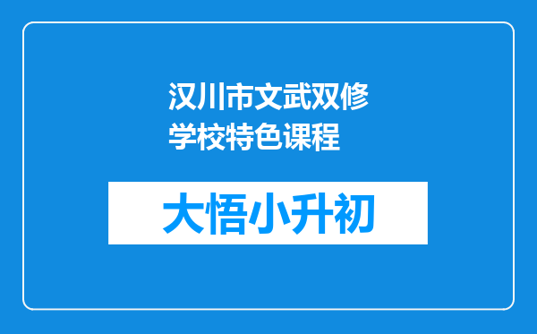 汉川市文武双修学校特色课程