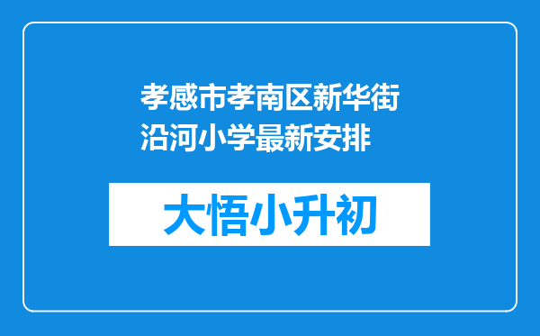 孝感市孝南区新华街沿河小学最新安排