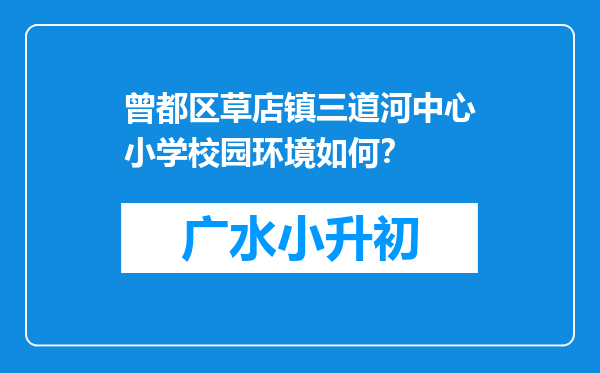 曾都区草店镇三道河中心小学校园环境如何？