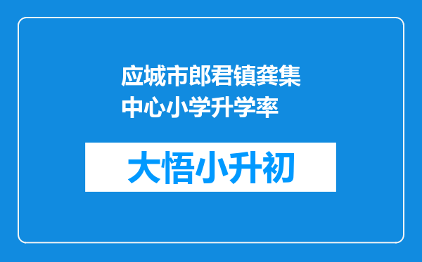 应城市郎君镇龚集中心小学升学率